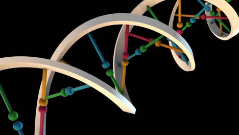 dna-in prospective flat color