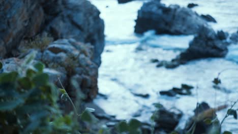 a serene view where greenery in the foreground complements a rugged rocky coastline, portraying a peaceful yet wild aspect of nature's shoreline tableau