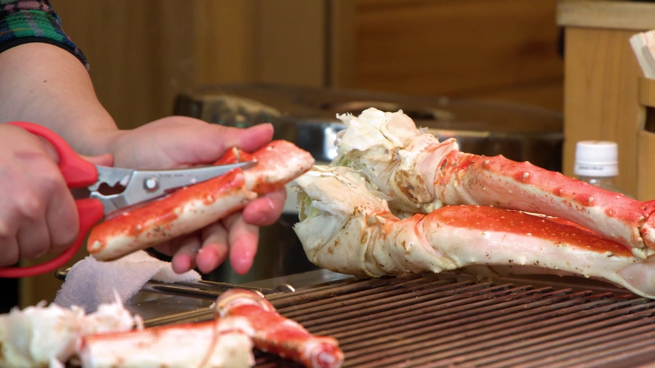 Close-up shot of hands using red scissors to cut cooked king crab legs on grill.