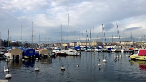 sail boats at the geneva marina in switzerland