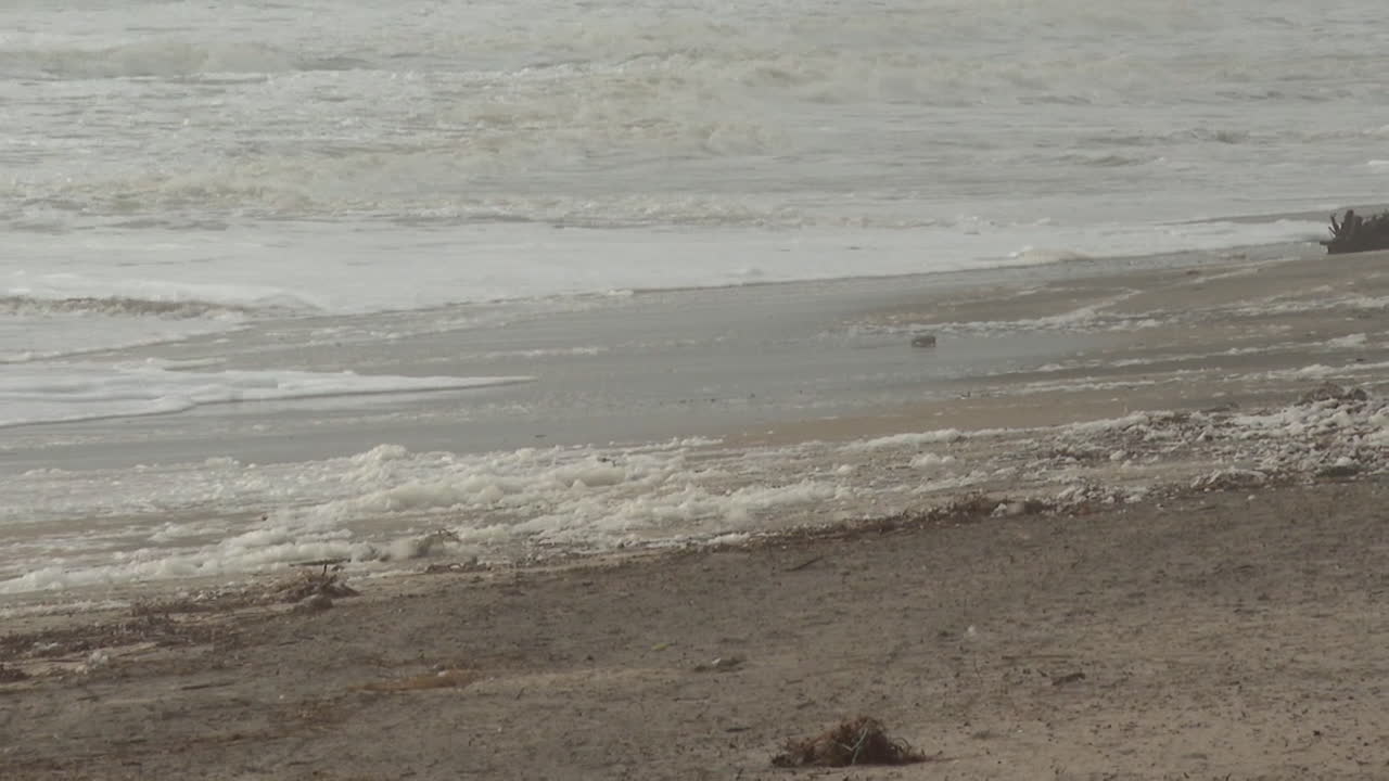 Stormy Beach with Foam