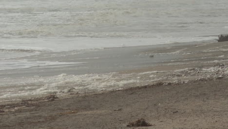 stormy beach with foam
