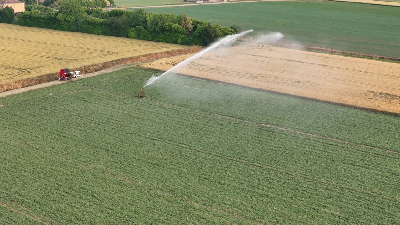 Potenti irrigatori che disperdono acqua su campi di soia verdeggianti nella Pianura Padana, Italia, generando uno spruzzo d'acqua ritmico durante la crescita primaverile, ripresa al rallentatore.