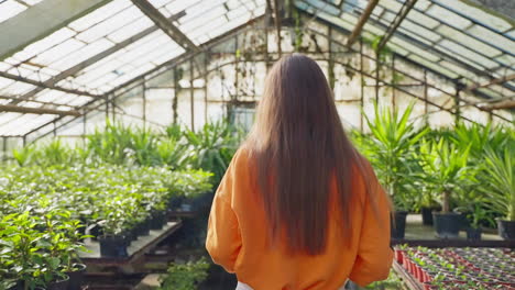 woman in a greenhouse looking at plants