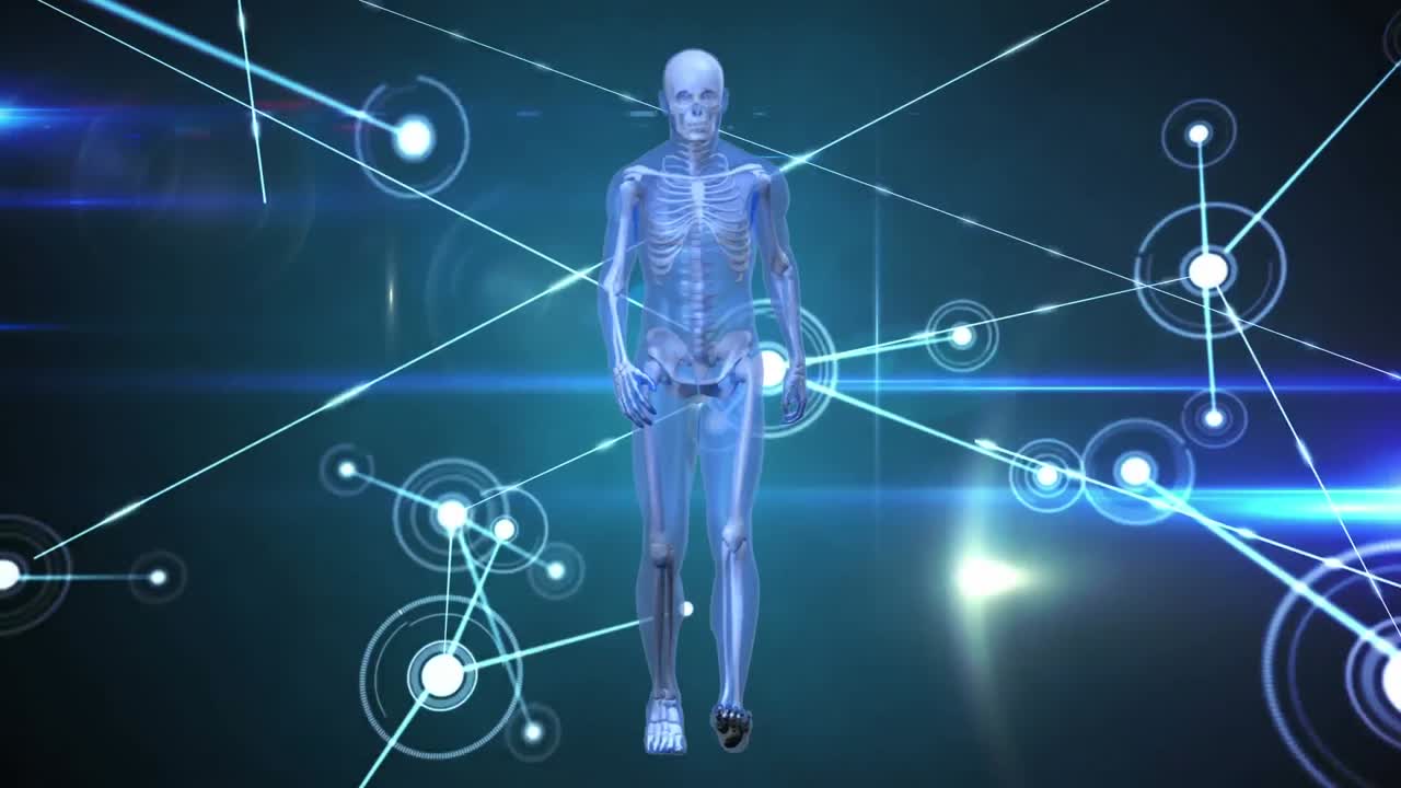 animación digital de un modelo de cuerpo humano caminando contra una red de conexiones sobre un fondo azul