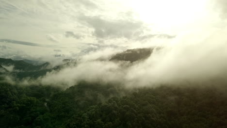 A-breathtaking-aerial-scenery-of-lush-green-tropical-rainforest-mountain