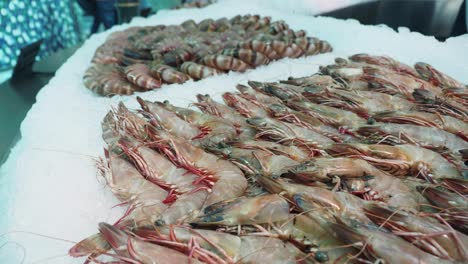 fresh shrimp display at a market