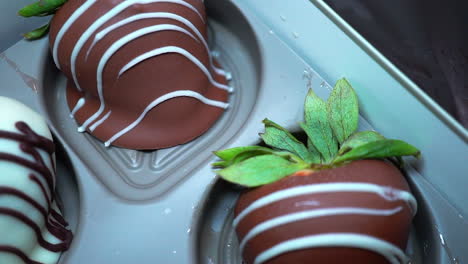 homemade chocolate covered strawberries chilling in a candy pan