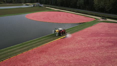 a yellow boom surrounds cranberries in a cranberry bog
