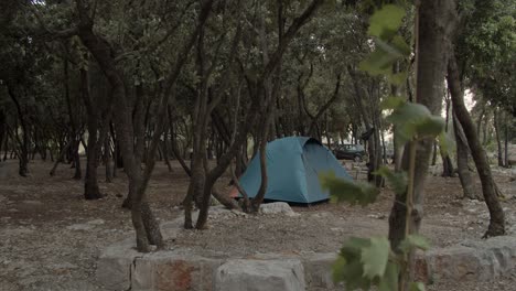 carpa en camping forestal, tiro ancho