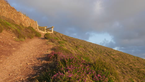 coastal path view looking up to atmospheric cloudy blue skies