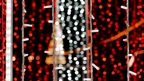 close-up of red and white festive lights