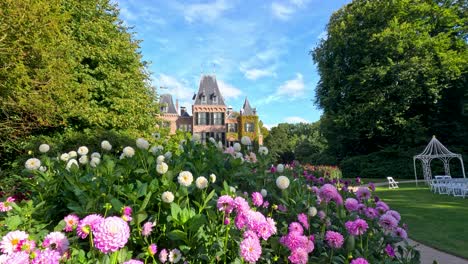 camera glides through vibrant dahlia garden toward a grand castle, under bright daylight with lush greenery and blue sky in lisse, netherlands
