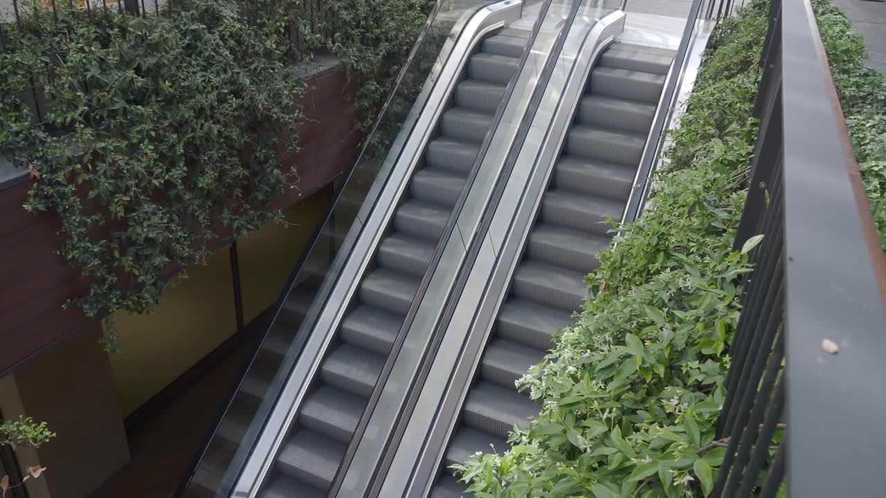 초록색 식물 이 있는 현대 건물 의 에스컬레이터