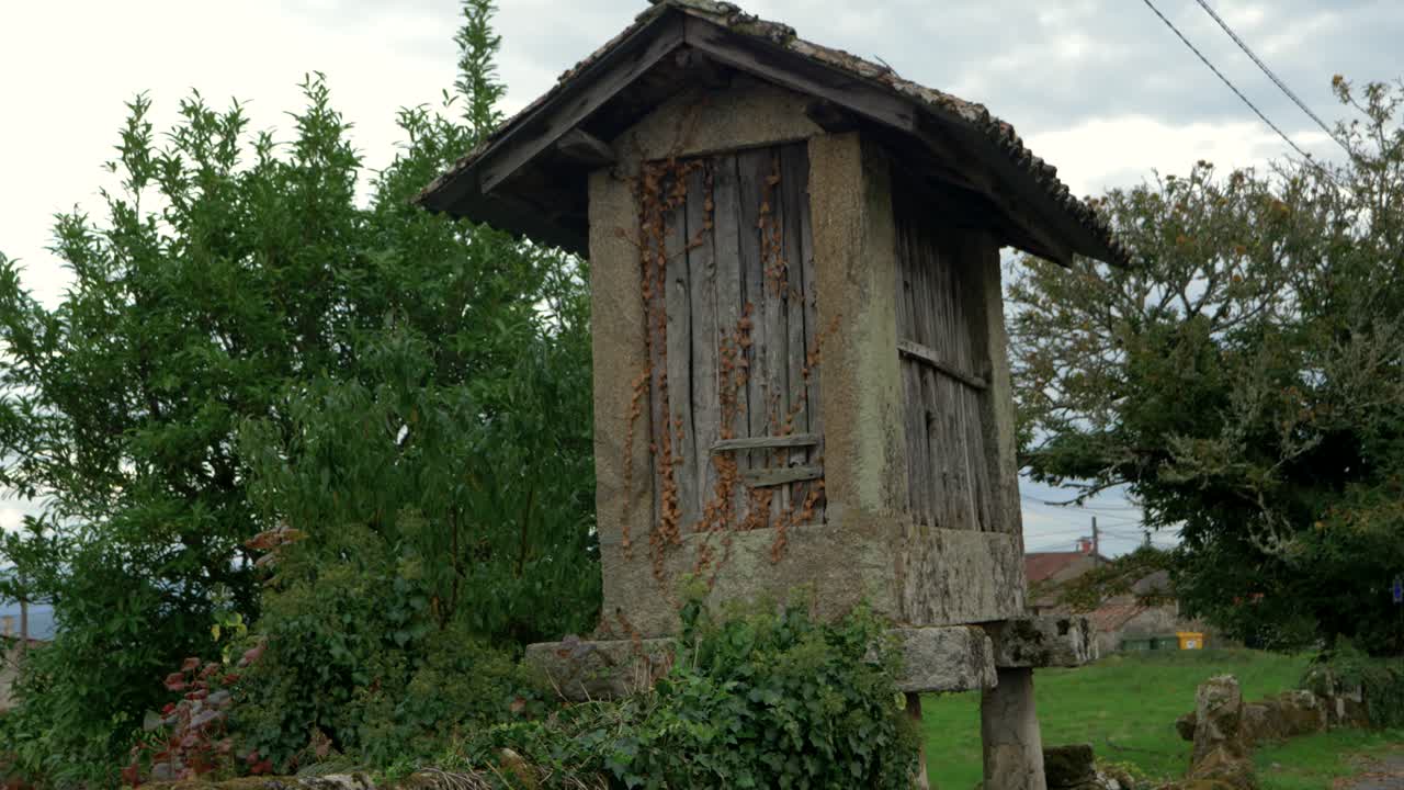 Wooden and stone hórreo in a natural setting in Coles, Ourense, Galicia, Spain, used for storage