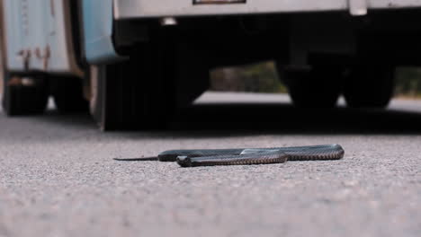 low angle shot of australian black snake in slow motion slithering towards camera