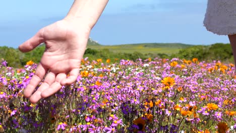 Nahaufnahme-Eines-Mädchens,-Das-Mit-Blumen-Spielt