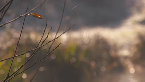 stunning 150 frames per second close up shot of melting frost droplets falling through the air