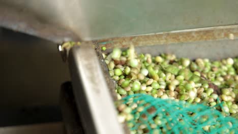 a close up shot of a peeling green beams machine