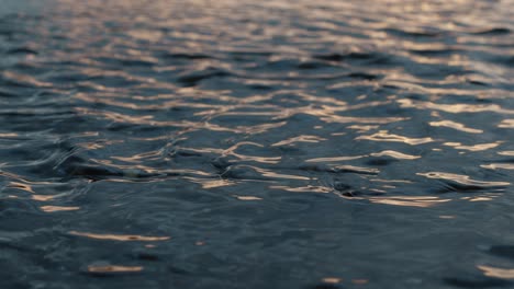 Abstract Water Ripples with Golden Reflections at Dusk