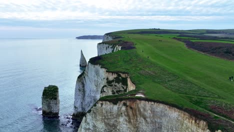 volando a lo largo de las cimas de los acantilados en old harry rocks hacia el pináculo