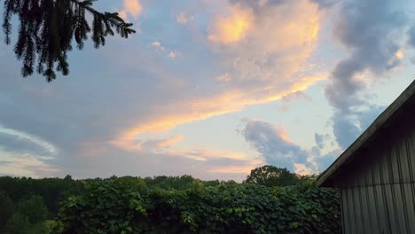 la vibrante puesta de sol pinta el cielo con tonos rosados y naranjas sobre un paisaje verde exuberante, creando una escena nocturna serena y tranquila.