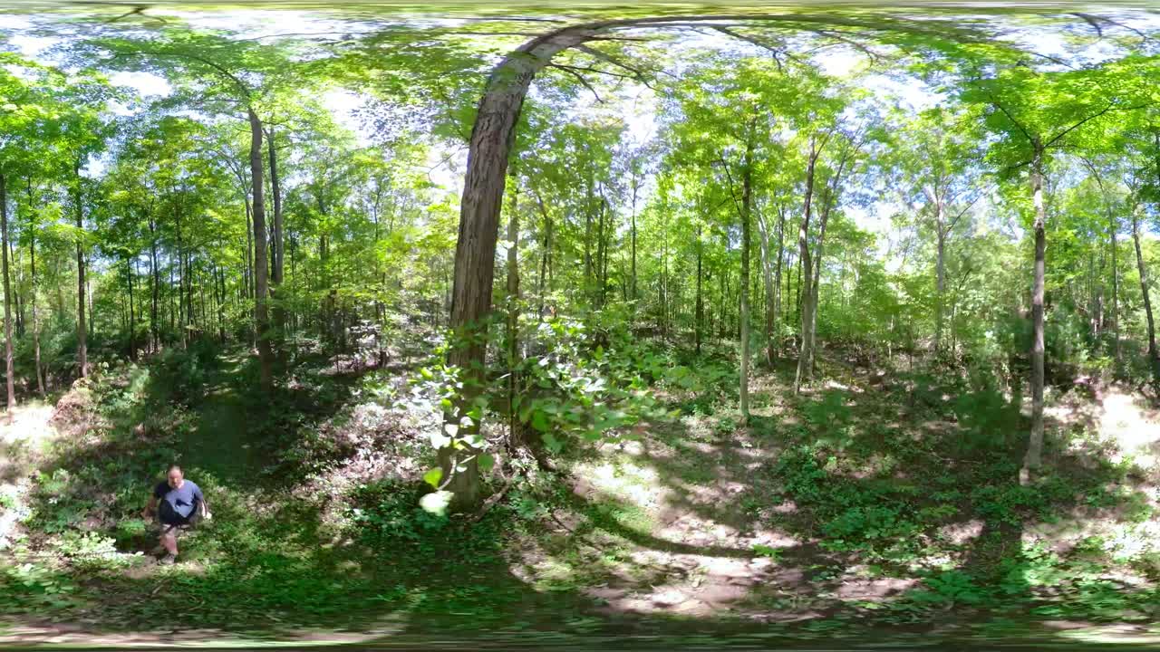 360 vr clip of a mature man walking through a mature forest with the sun sparkling through the trees.