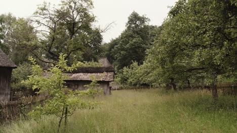 Alte-Gebäude-Eines-Historischen-Dorfes-Zwischen-Waldbäumen-Und-Langem-Frühlingsgras-An-Einem-Bewölkten-Tag-In-Einer-Malerischen-Landschaft