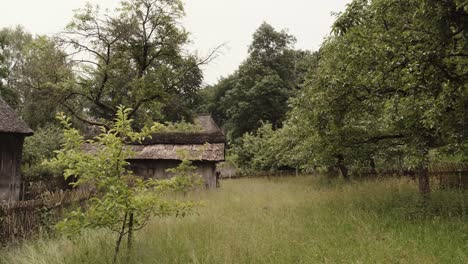 edificios antiguos de un pueblo histórico entre árboles boscosos y hierba de primavera larga en un día nublado en un paisaje pintoresco
