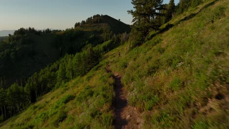 aerial of backcountry mountain trail near forest at sunset