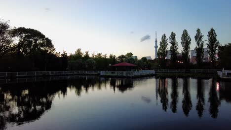 the beautiful park in tokyo