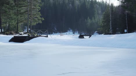 Winter-snowy-scene-with-frozen-lake-and-pine-tree-forest-in-Norway