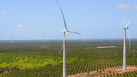 Aerial-view-of-wind-fan-in-the-middle-of-a-green-area-of-palm-trees,-Ceara,-Brazil