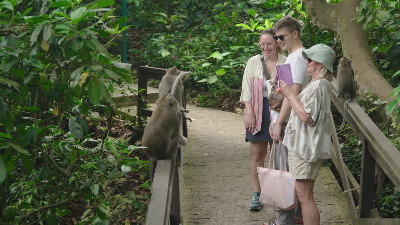 Tourists Taking Photos Of The Monkeys At Ubud Monkey Forest In Bali - Wide Shot