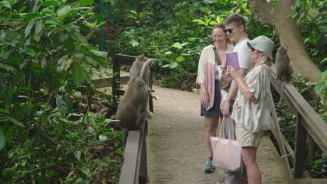 tourists taking photos of the monkeys at ubud monkey forest in bali - wide shot