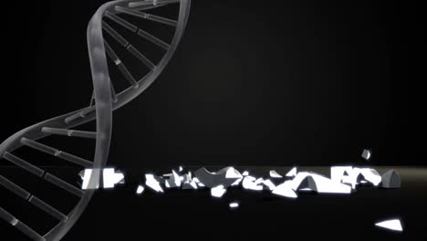 dna structure spinning over dollar currency symbol falling and breaking against black background