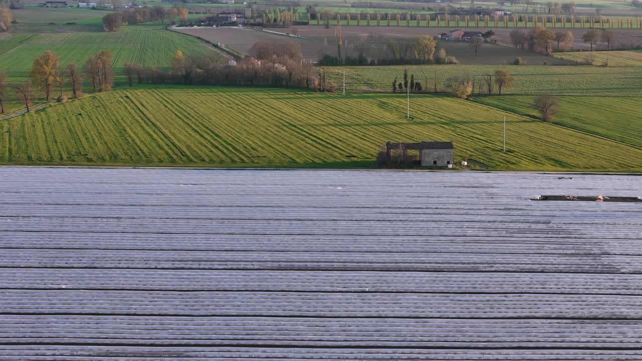 Lavtunnelavlinger i Pianura Padana nær Alseno, Piacenza, Emilia Romagna, Italia, med kamera som panorerer oppover fra plastdekkede rader til landskapet i Appennino Settentrionale, droneopptak med panorering oppover.