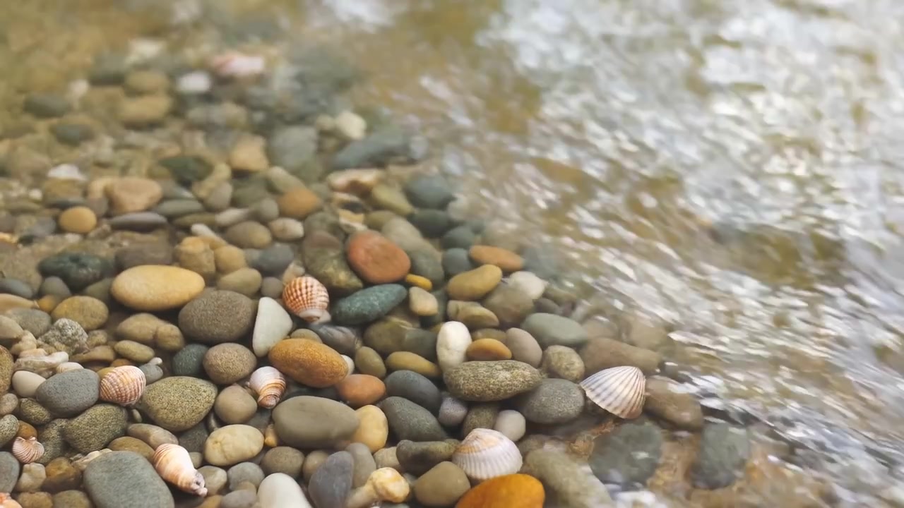 Onde leggere lambiscono pietre arrotondate e piccole conchiglie sparse in acqua limpida e poco profonda, mentre la luce del sole luccica sulla superficie in movimento e rivela vari colori terrosi.