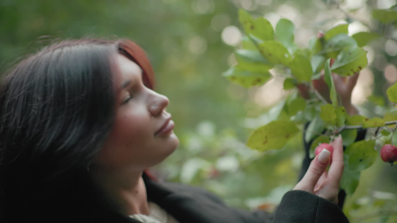 un visitante del bosque toca unas uvas rojas en una rama frondosa, mira hacia arriba con una sonrisa suave, primer plano contra un bokeh de bosque difuminado, ambiente otoñal tranquilo, momento tranquilo al aire libre capturado en un entorno verde sereno