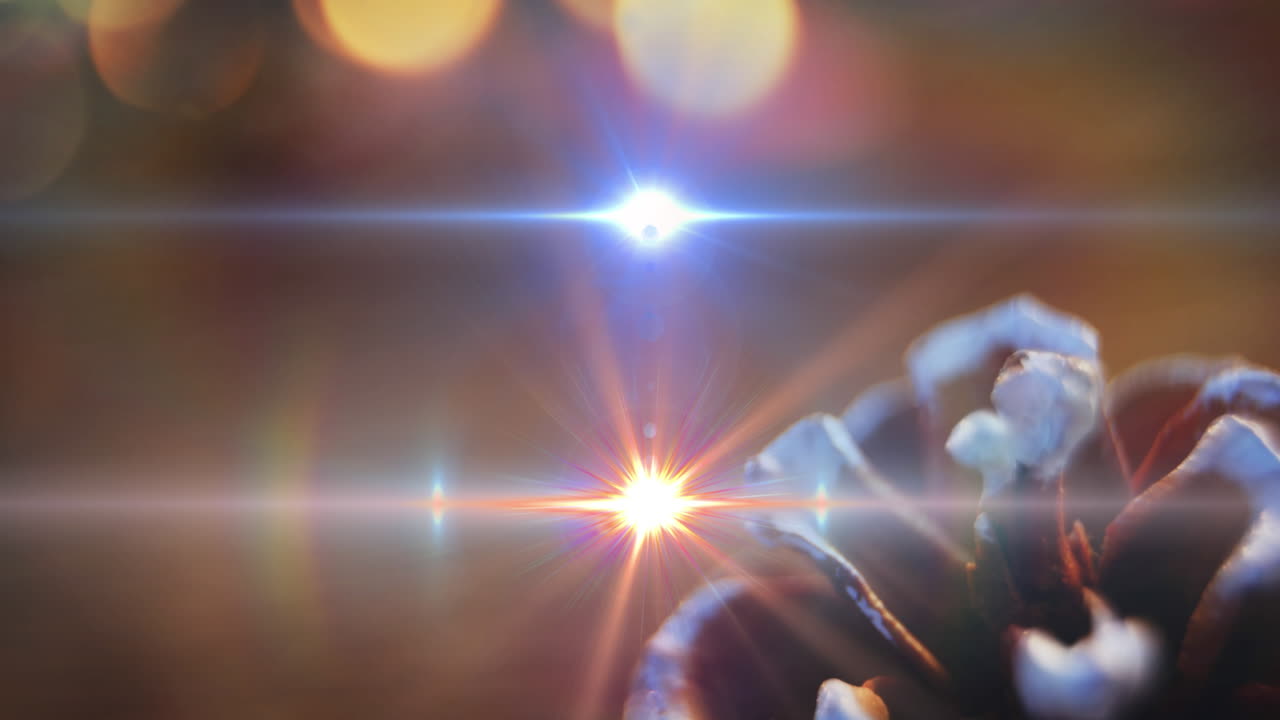 鉢の中の花の上に輝く光のアニメーション