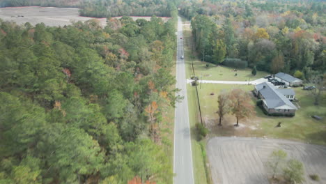 Road-leading-through-forestry-stretching-to-the-horizon