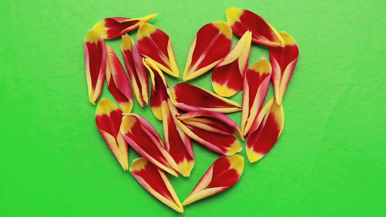 mano empujando los pétalos de las flores en forma de corazón