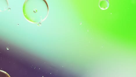 animation of bubbles moving on green background with copy space