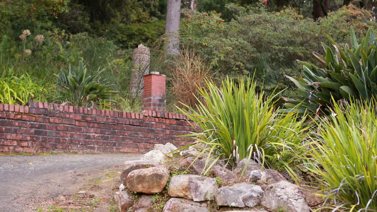 ciclista caminando con bicicleta de montaña en el bosque en el campo
