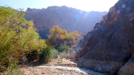 Scenic-Wadi-Ghuweir-canyon-with-freshwater-stream,-rugged-mountains-and-trees-in-remote-wilderness-of-Jordan,-Middle-East