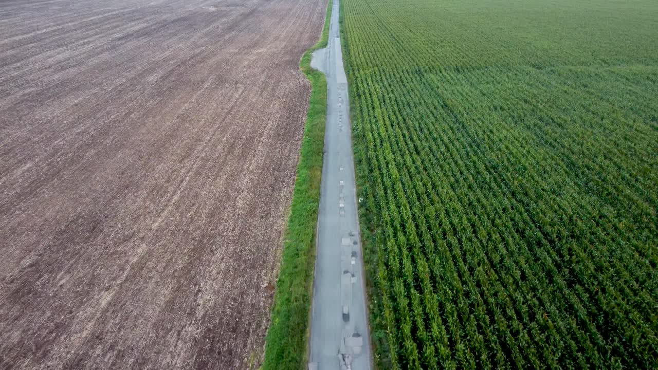 사우스 캔터베리의 농장 들판 사이 빈 도로를 따라 항공