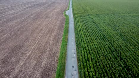 Aerial-Along-Empty-Road-Between-Farm-Fields-In-South-Canterbury