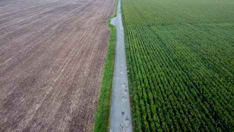 aerial along empty road between farm fields in south canterbury
