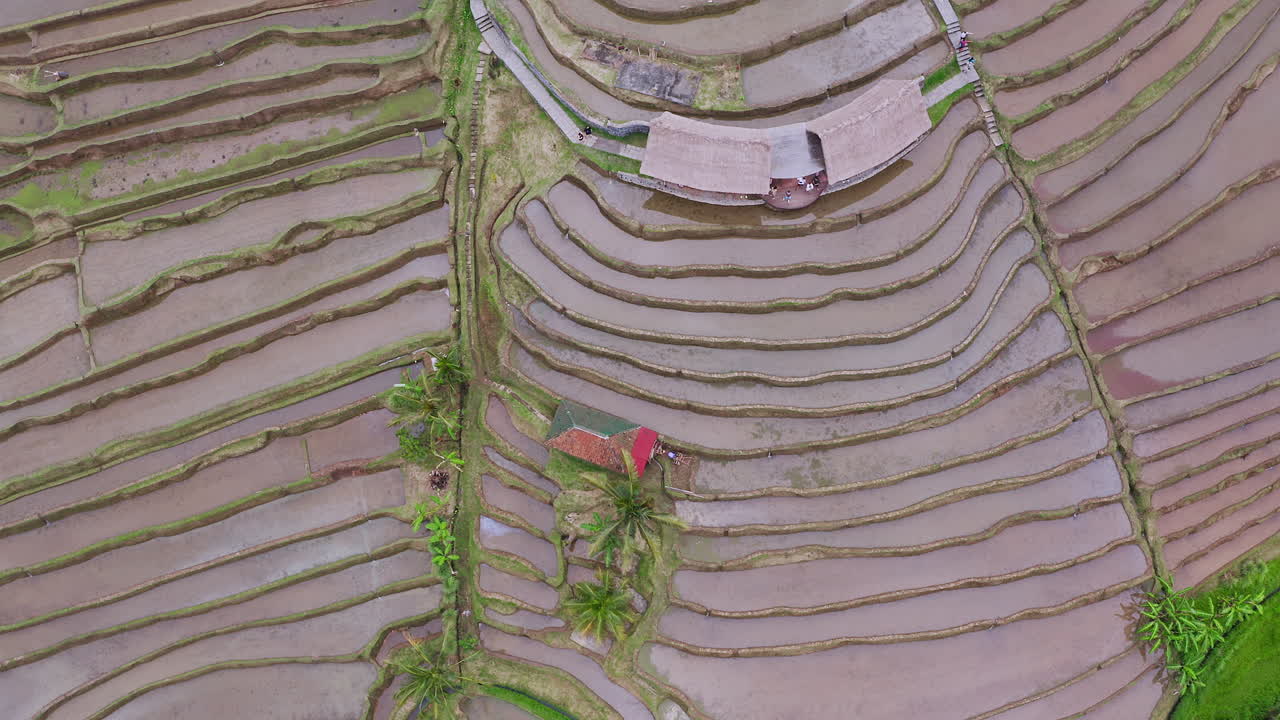 Aerial Top Down View of Water Filled Rice Terrace in Bali, Indonesia. 4K Drone