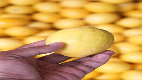 hand holding a lemon, with lemons background